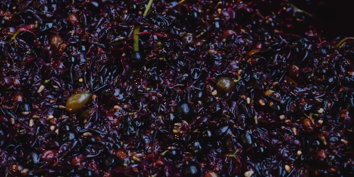 Close-up of a pile of crushed dark grapes with skins and seeds